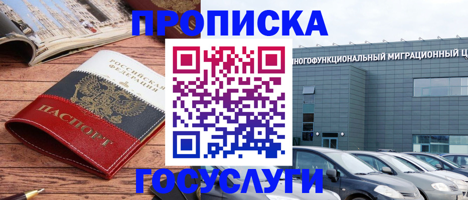 временная регистрация собственник в Московской области